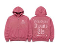 D-Cribs Greatness Awaits Us Pink Hoodies