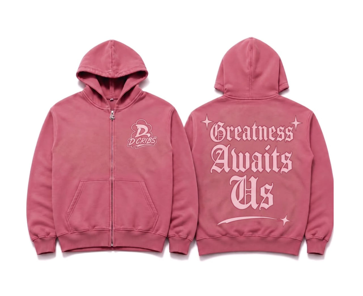 D-Cribs Greatness Awaits Us Pink Hoodies